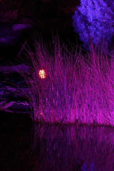 Ilumina_2014   072.jpg